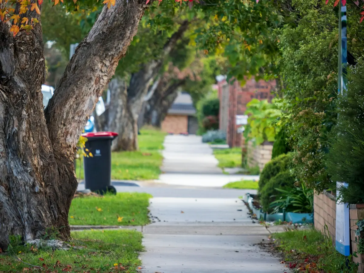 Mature tree-lined sidewalk like Beavercreek’s established neighborhoods