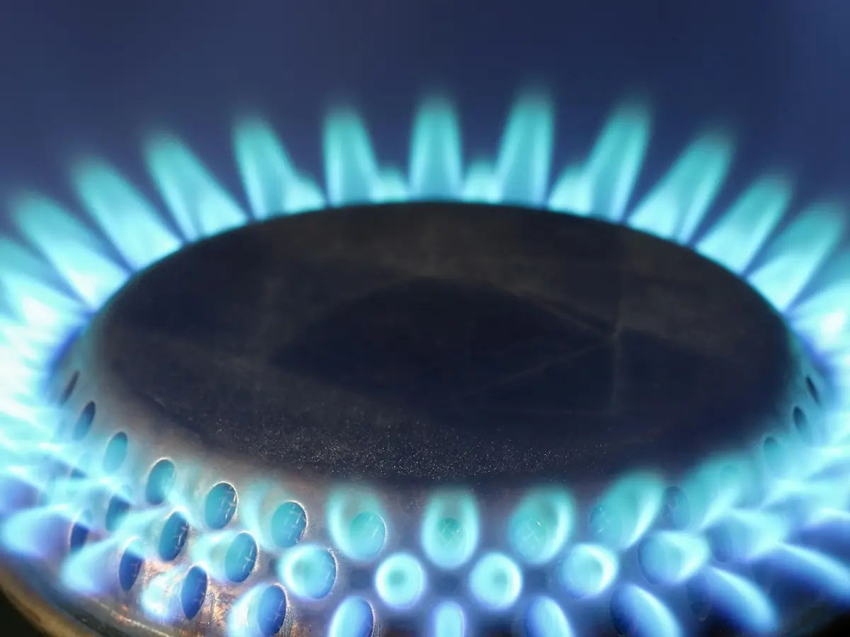 Crisp blue gas flames — the sign of a clean, well-tuned burner
